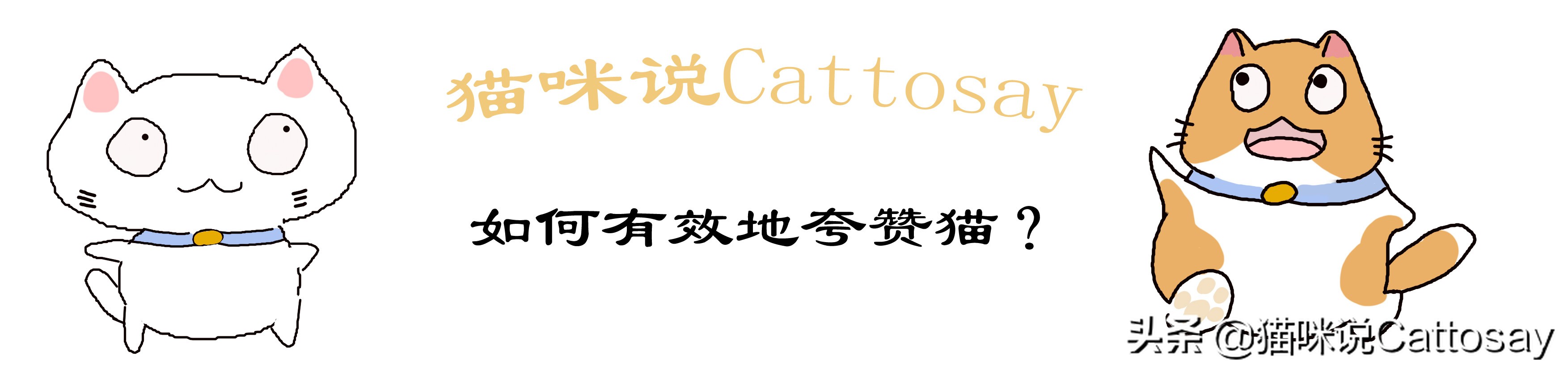 怎么训练猫咪才会让猫咪说话,夸猫怎么夸