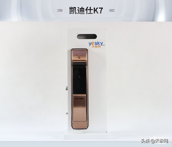 超高端进口德施曼智能指纹锁推荐,鹿客智能指纹锁品牌推荐前十名