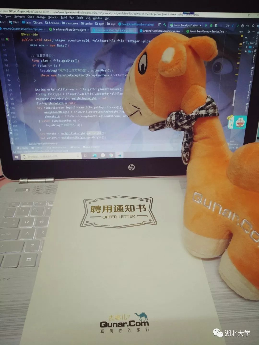 南京高校女孩拿到9个offer,湖北大学女孩