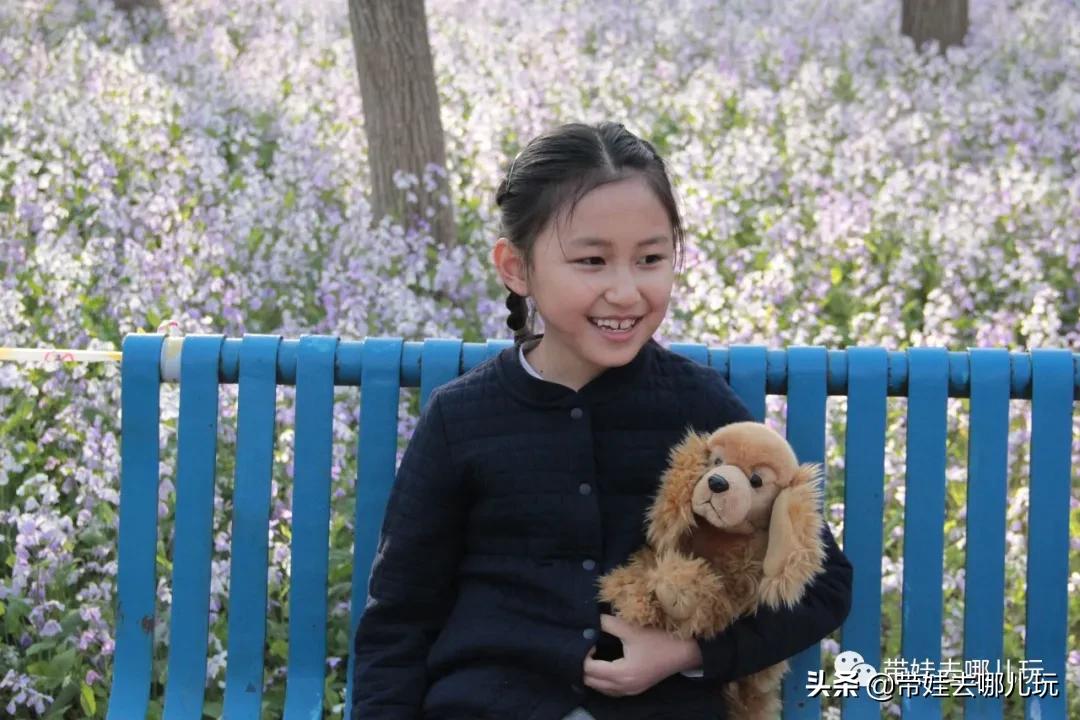 带娃周边3-4天自由行攻略,又到周末要带娃