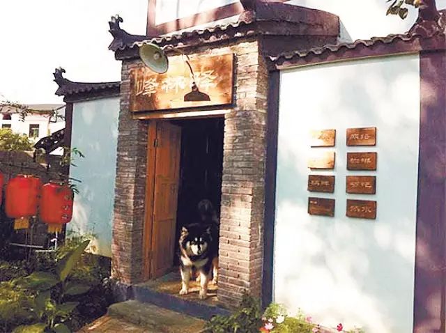 贵州兴义万峰林一日游攻略,贵州兴义万峰林旅游攻略官网