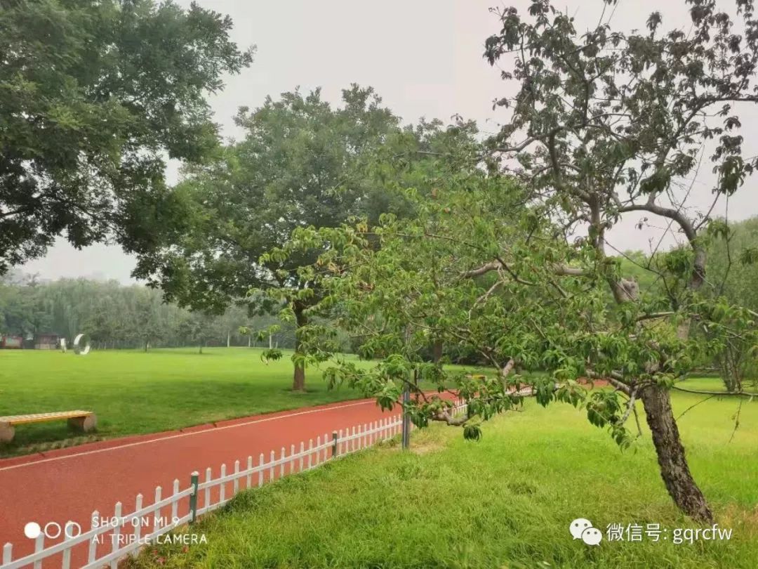 国庆人才需求 2019.07.19(一)