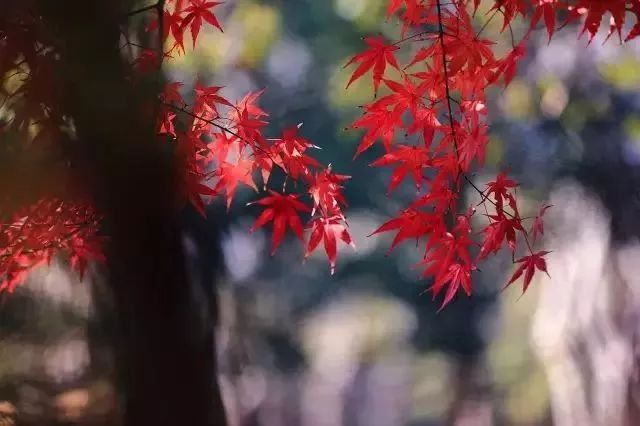 上海厉害了,厉害了上海