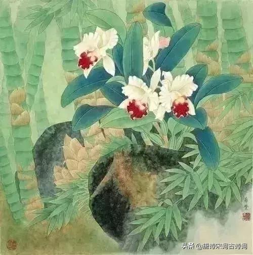 古人幽默古诗,趣味古诗跟读