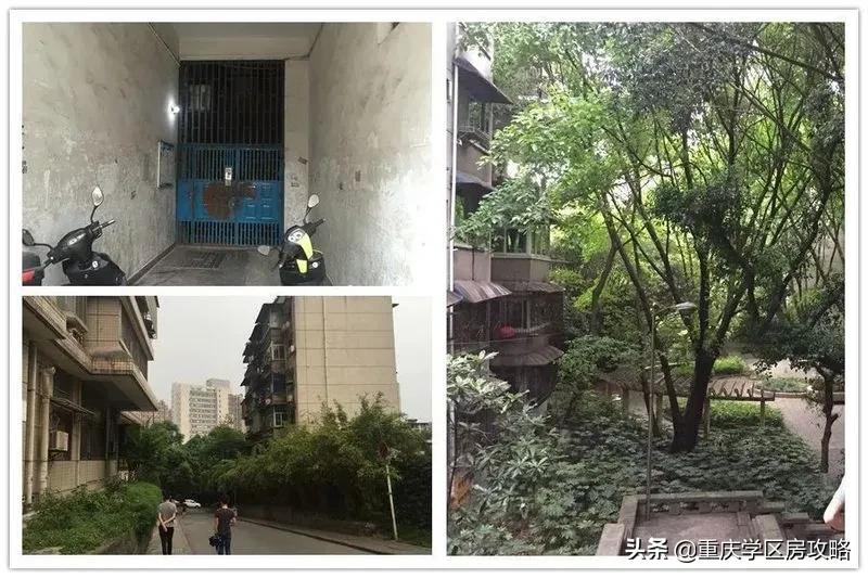 九龙坡实验一小直升育才名额,九龙坡区中学是直升还是划片