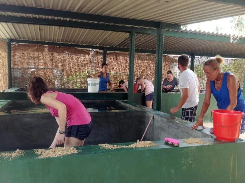 国际视野下的全球教育,国际教育中国教育