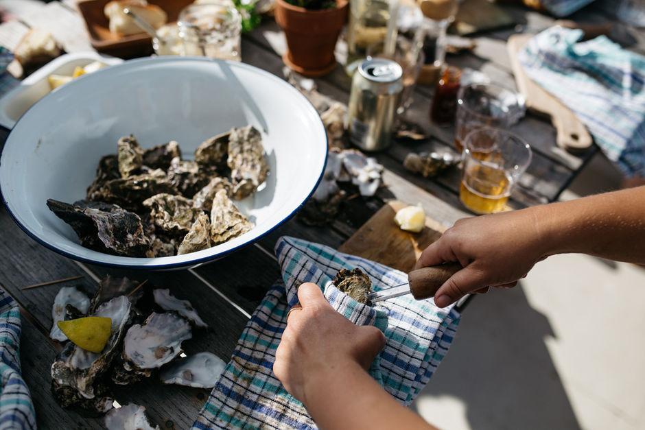 新西兰旅游攻略简介英文版,新西兰旅游在线申请攻略