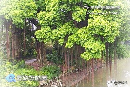 广州市古村落有哪些,广州十大古村排名