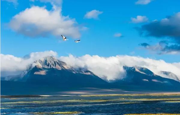 去藏北旅游注意什么,藏西旅游费用