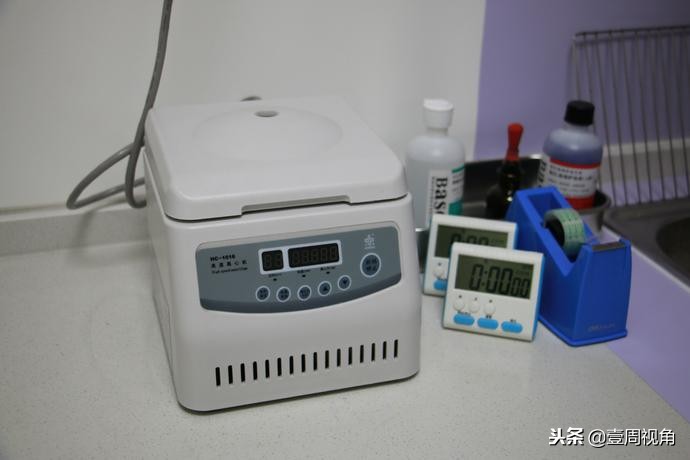 廊坊人自己的平价动物医院—百福动物医院正式开业