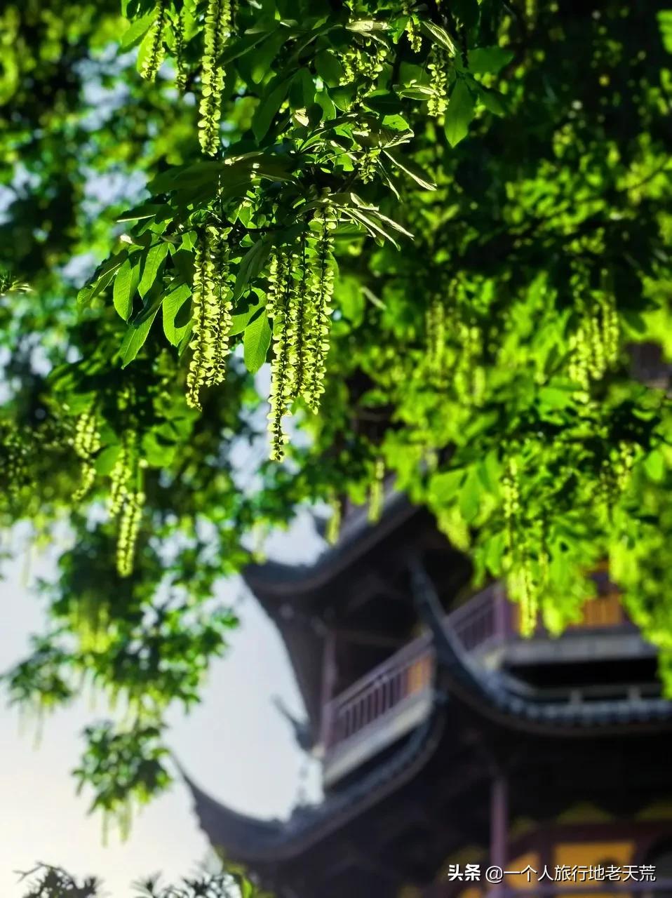 江苏这个“快乐”的城市,颜值不输苏杭,连苏东坡都在这养老