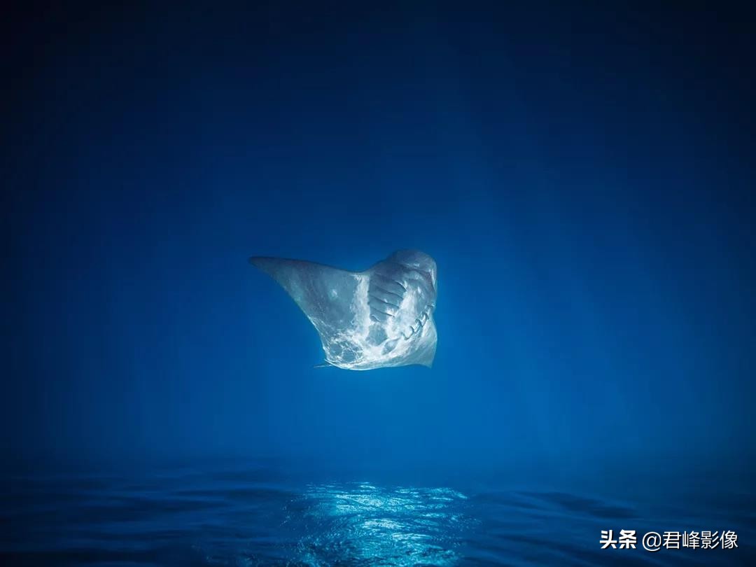 哈苏摄影师获奖摄影作品选,哈苏相机摄影师的地位