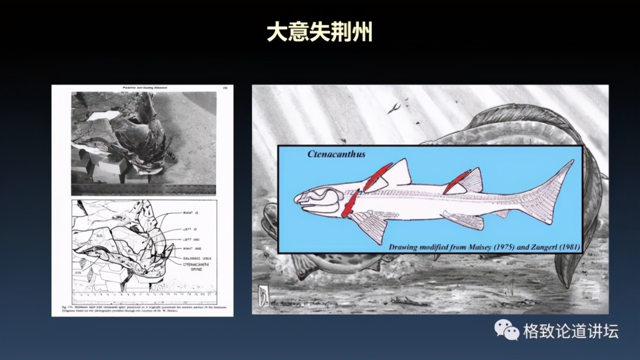 我们用来咬合的颌骨，竟和这条古鱼海怪一脉相承