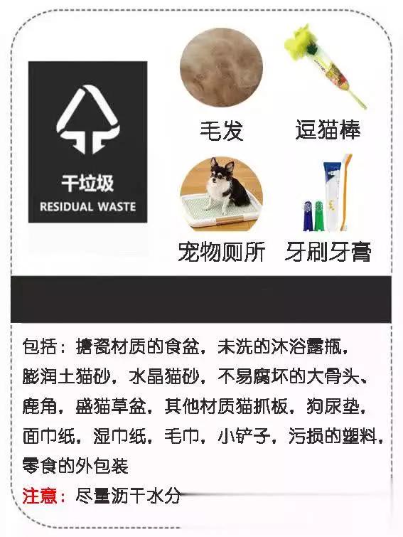 你绝对不知的「垃圾分类」技巧（宠物篇）