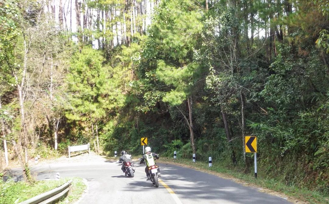 夜丰颂到清迈巴士,夜丰颂府旅行