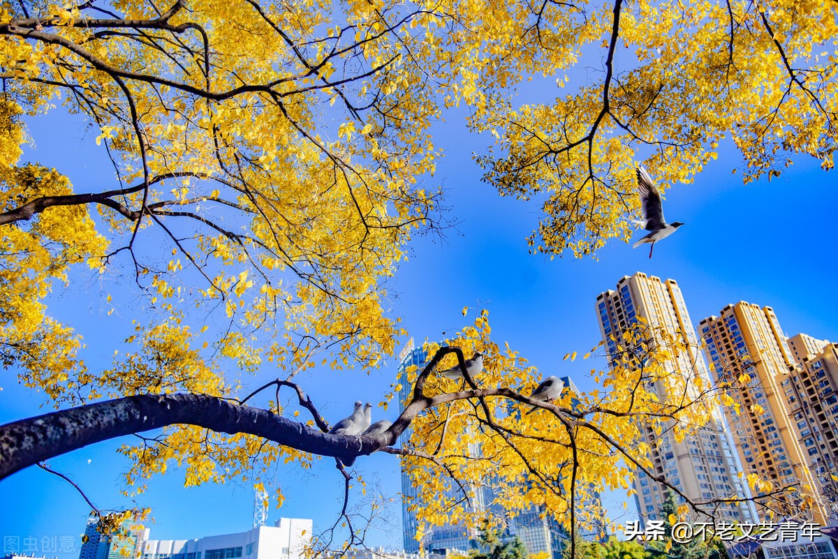 安宁昆钢,子女们的故乡!我在昆钢三十年,时间弹指间