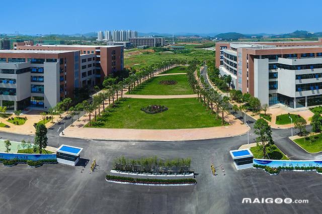 广西十大专科学校排名广西十大高职院校广西最好的十大专科院校