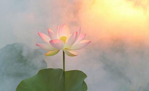 命苦的人只能拼命去干,一个真正命苦的人会有的习惯