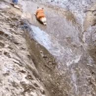 一加7现在还值得买吗,一加7巅峰之作