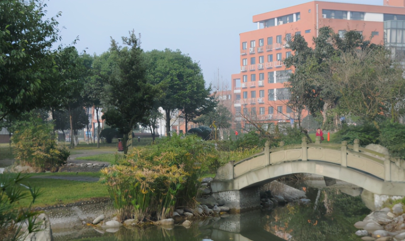 西南民大保研北大,西南民大2024研究生拟录取