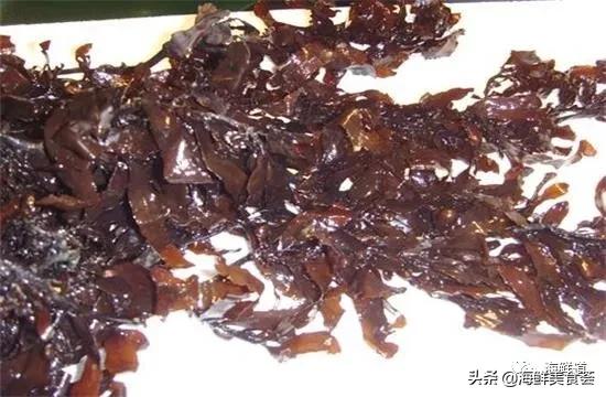 102种海鲜,营养丰富的海鲜有哪些品种