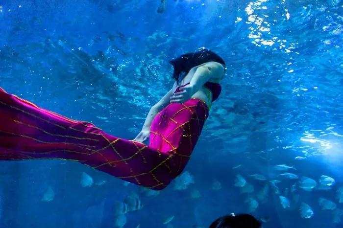 京津冀周边玩三天左右,京津冀十月旅游免费景区