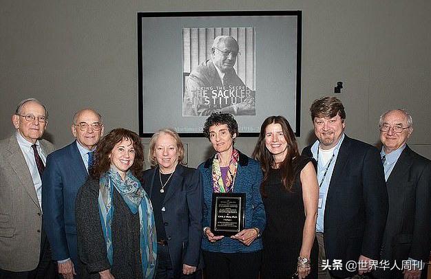 豆瓣9.1分的神剧,豆瓣9.7分的神剧