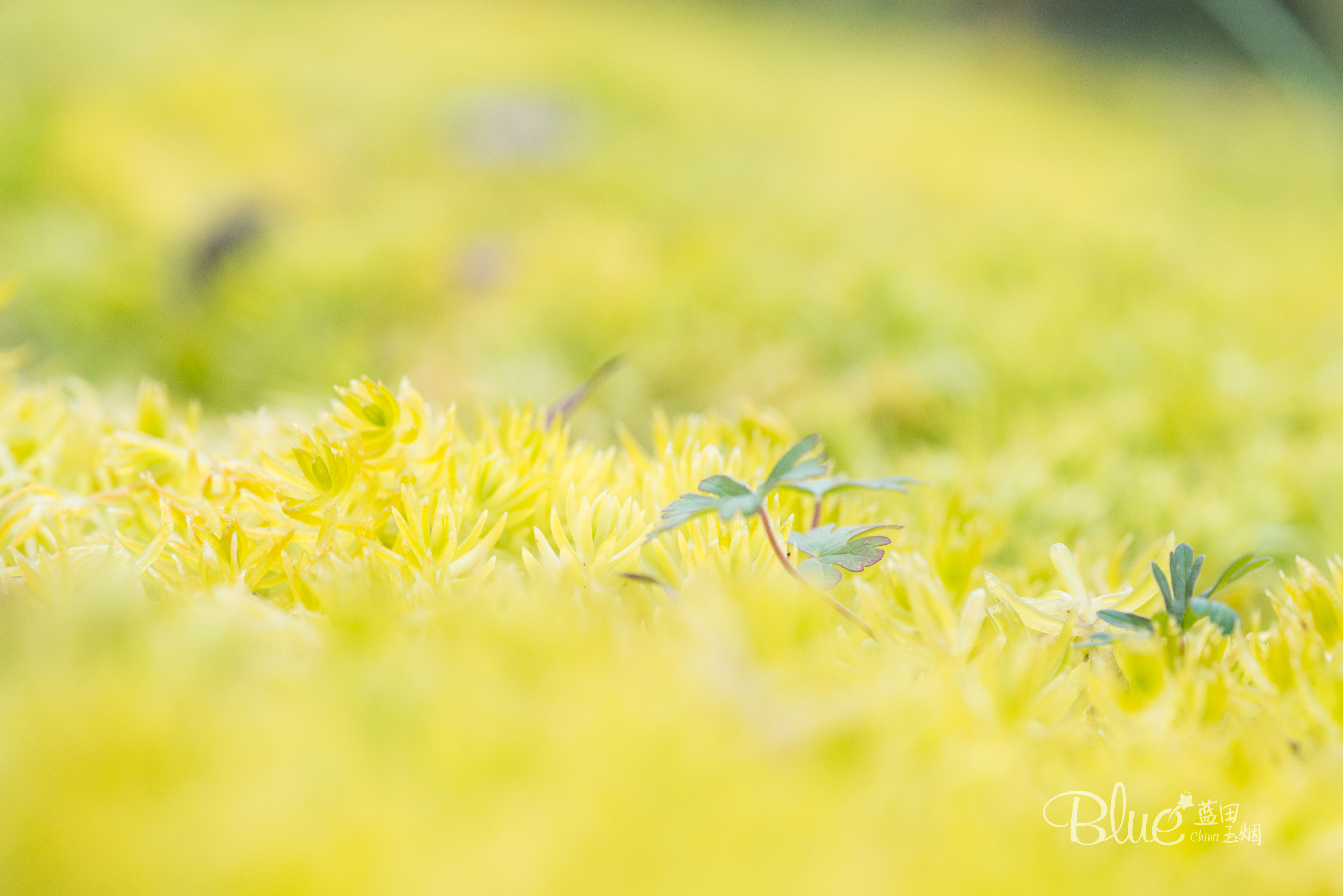 最有灵性的古佛寺,国内最美佛寺排行榜前十