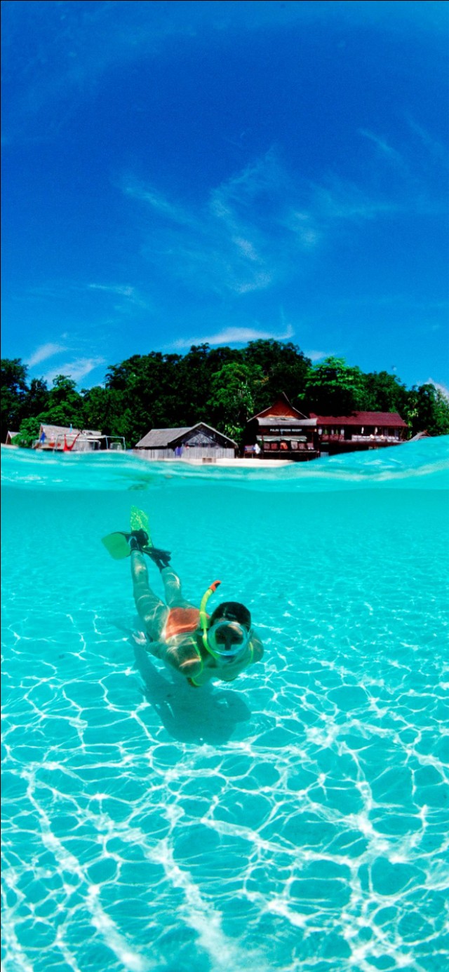 优阿壁纸135期丨分享一组超清晰的海底世界全面屏壁纸