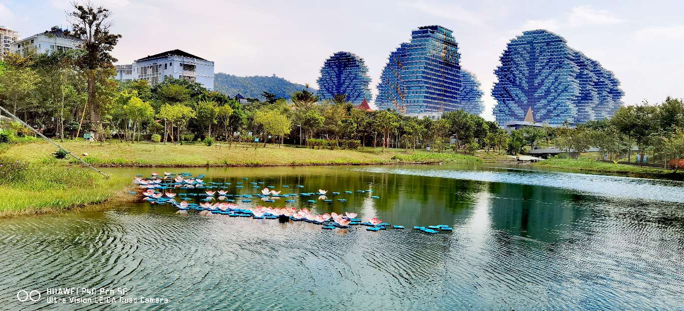 三亚地标性建筑美丽之冠大松树,三亚美丽之冠