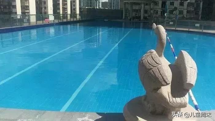 深圳游泳教练培训学校有哪些,深圳成人游泳培训班哪里好