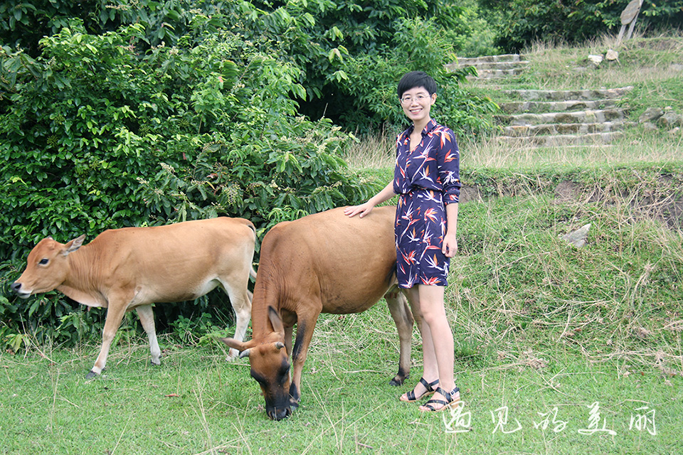 上下川岛可以开车过去吗,广东下川岛