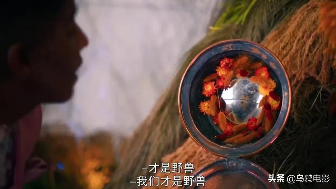 这也能拍出花?网飞又开挂了,每集都让我惊掉下巴