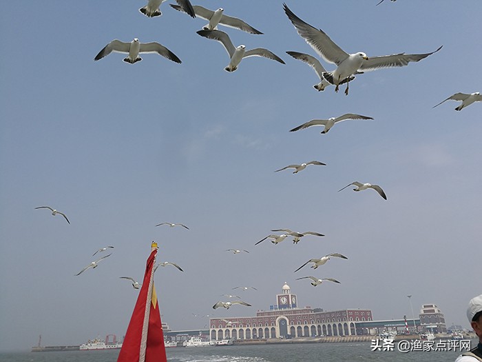 哈仙岛旅游攻略二日游,哈仙岛旅游攻略儿童