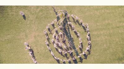 新出的恐怖片推荐,近期新出恐怖片推荐