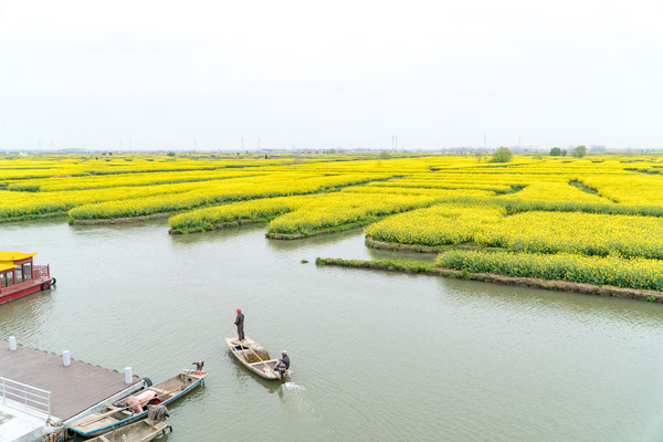 踏春赏花正当时，打卡千垛水上油菜花！玩转兴化景点美食全攻略