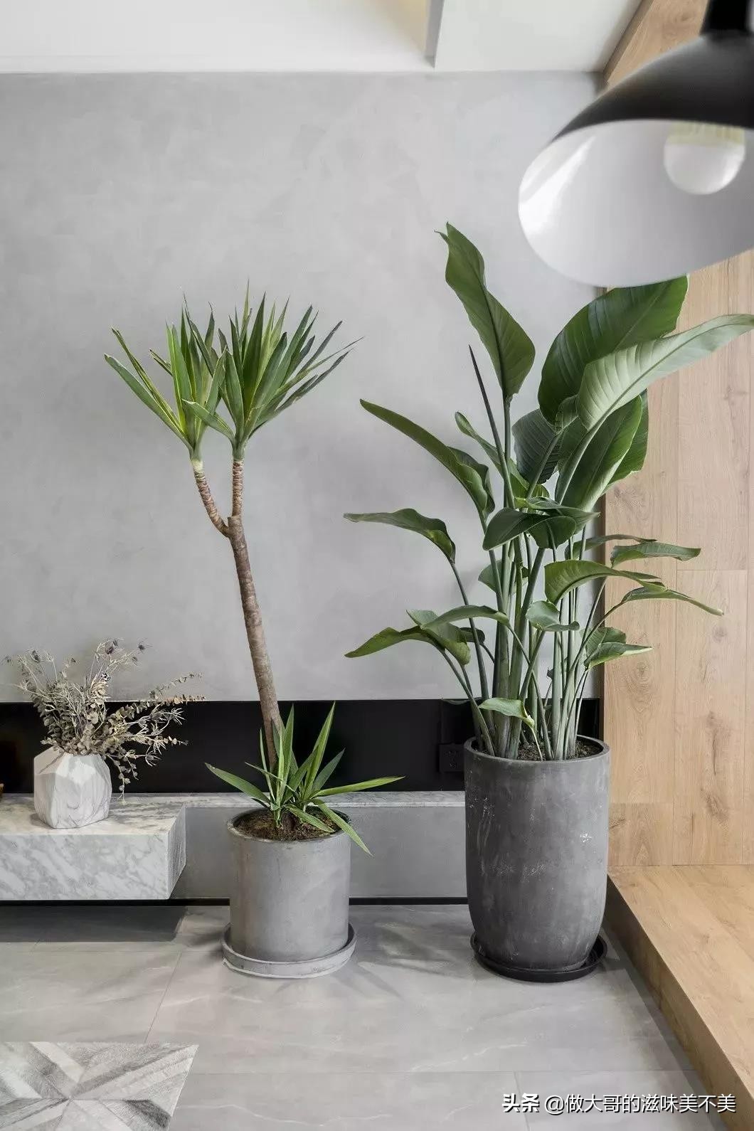 水泥墙真实图片大全,水泥网红砖效果图