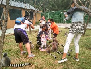 博山区年审,博山年审