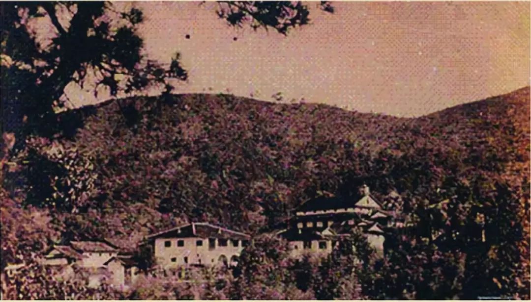 广东足球完整版,广东40年发展史