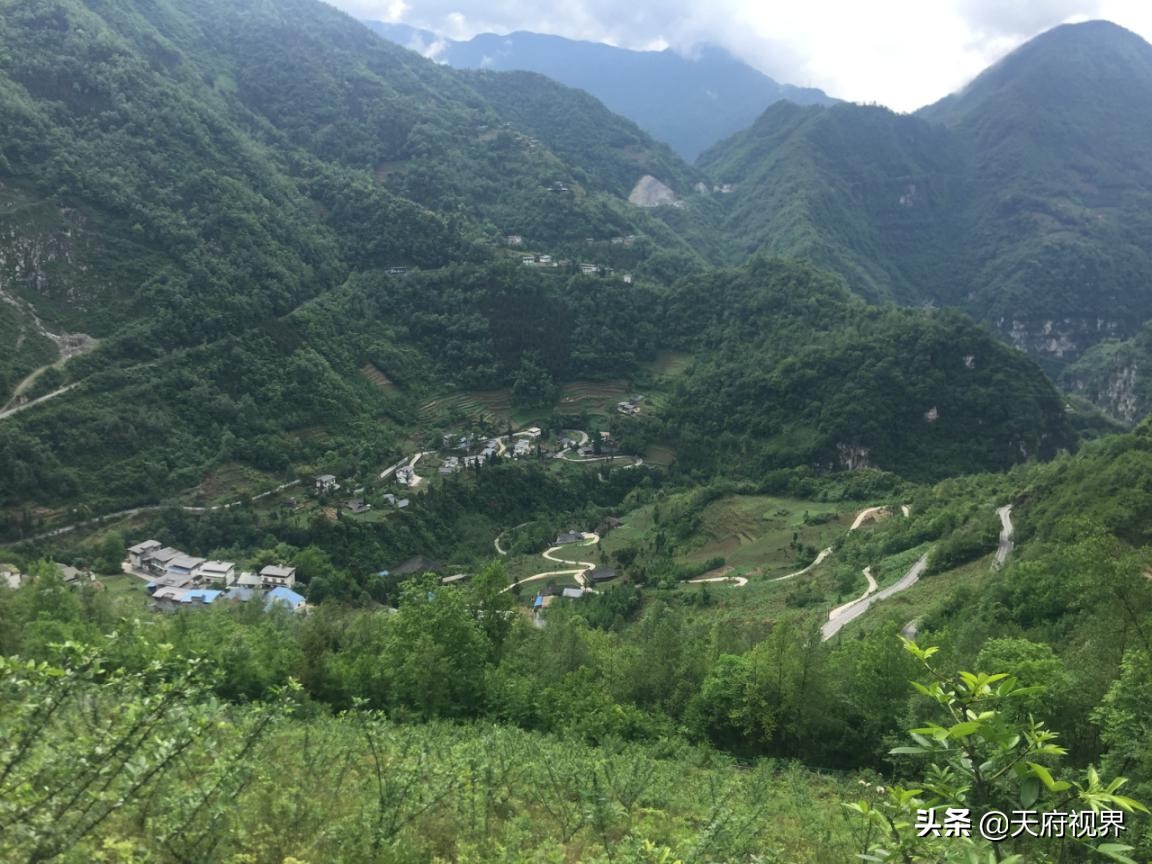 大山深处的回忆,大山深处的回忆图片