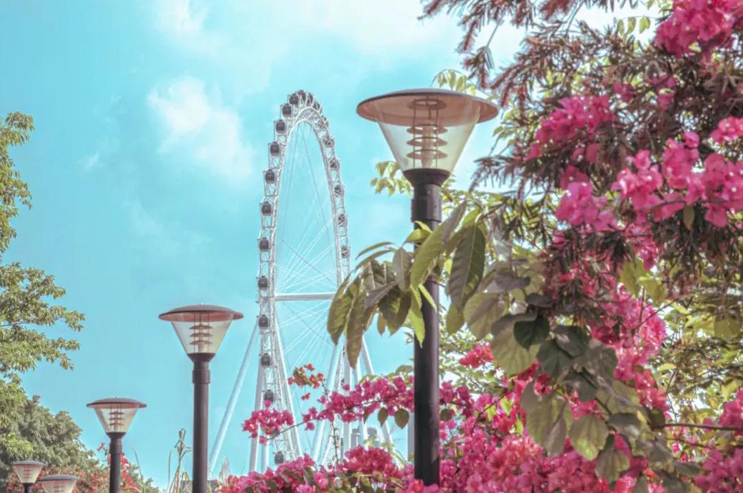 中山东区最值得去的地方,中山古镇好逛的地方