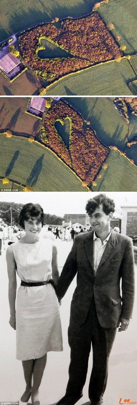 google卫星地图高清图源,google卫星实时地图