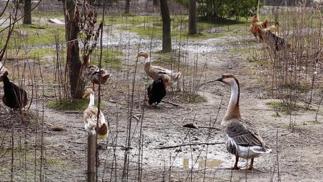 李时珍亲口品尝药材是为了什么,李时珍真实传说