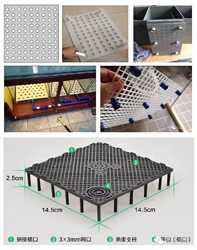 鱼缸养锦鲤鱼技术大全,缸养小锦鲤鱼的基本方法