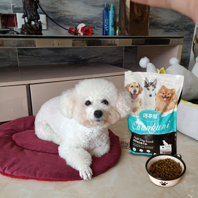 宠物狗粮品牌性价比高的推荐,性价比高销量高的狗粮推荐