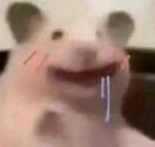 野生沙葱味道怎么样,沙葱为啥有苦味