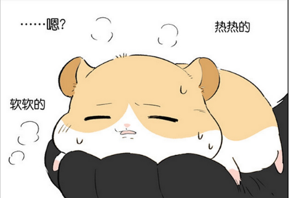 仓鼠跑步速度有多快,仓鼠跑步的速度有多快