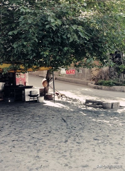 船厂生活区小区,攀枝花渡口船厂小区简介