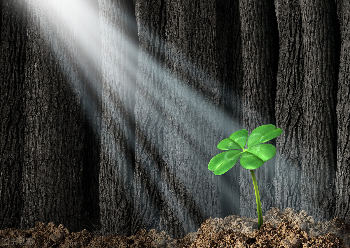 空气源热泵产业市场震荡，对于企业来说，除了涨价还能做什么？