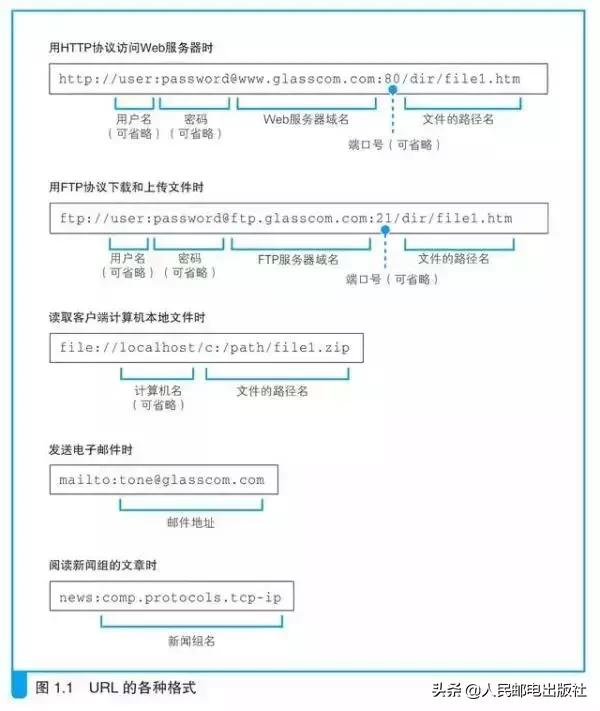 涨知识了！网络原来是这样连接的